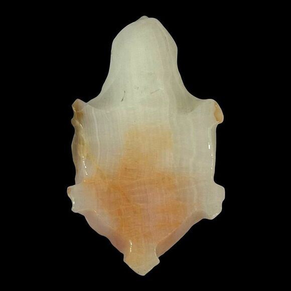 Hand Carved Onyx Stone Turtle Figurine Paperweight Mini 4" Sculpture Decor Piece - Picture 6 of 10